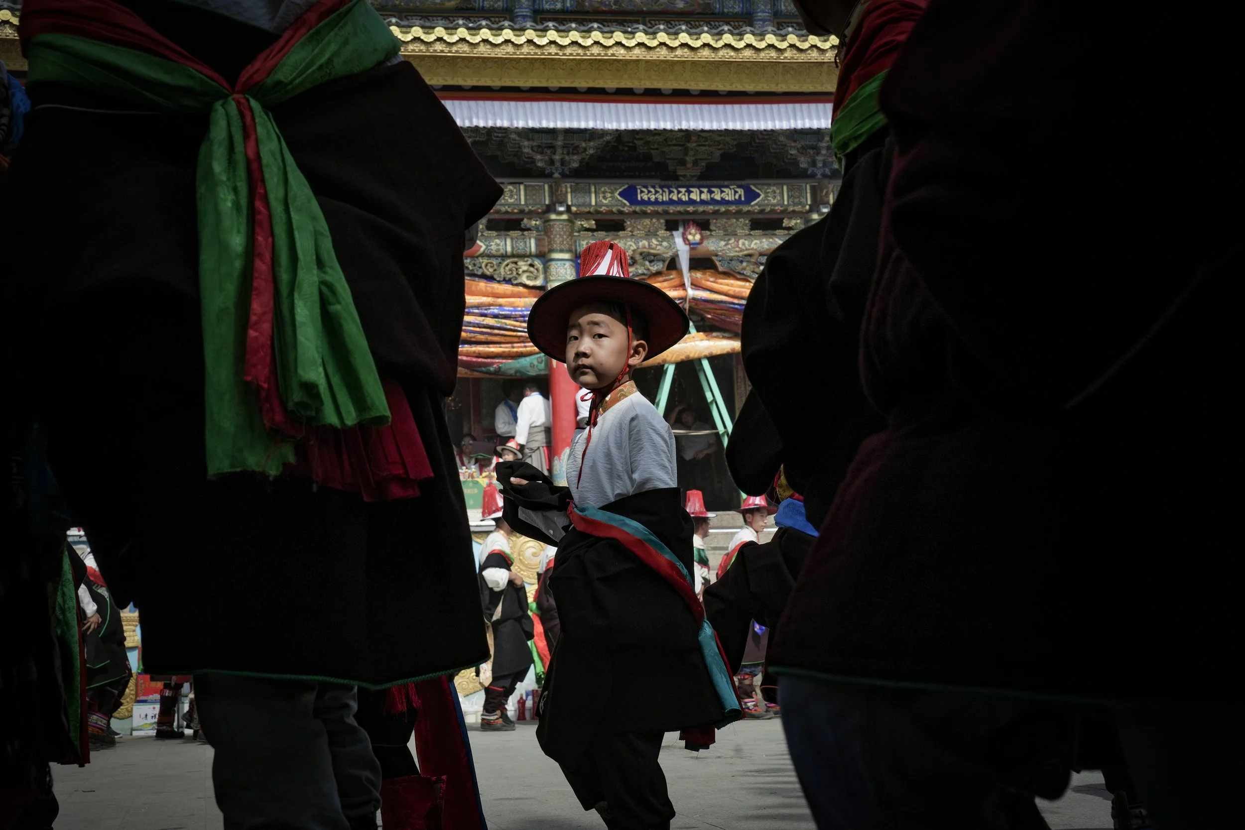 DSC08201-1.jpg