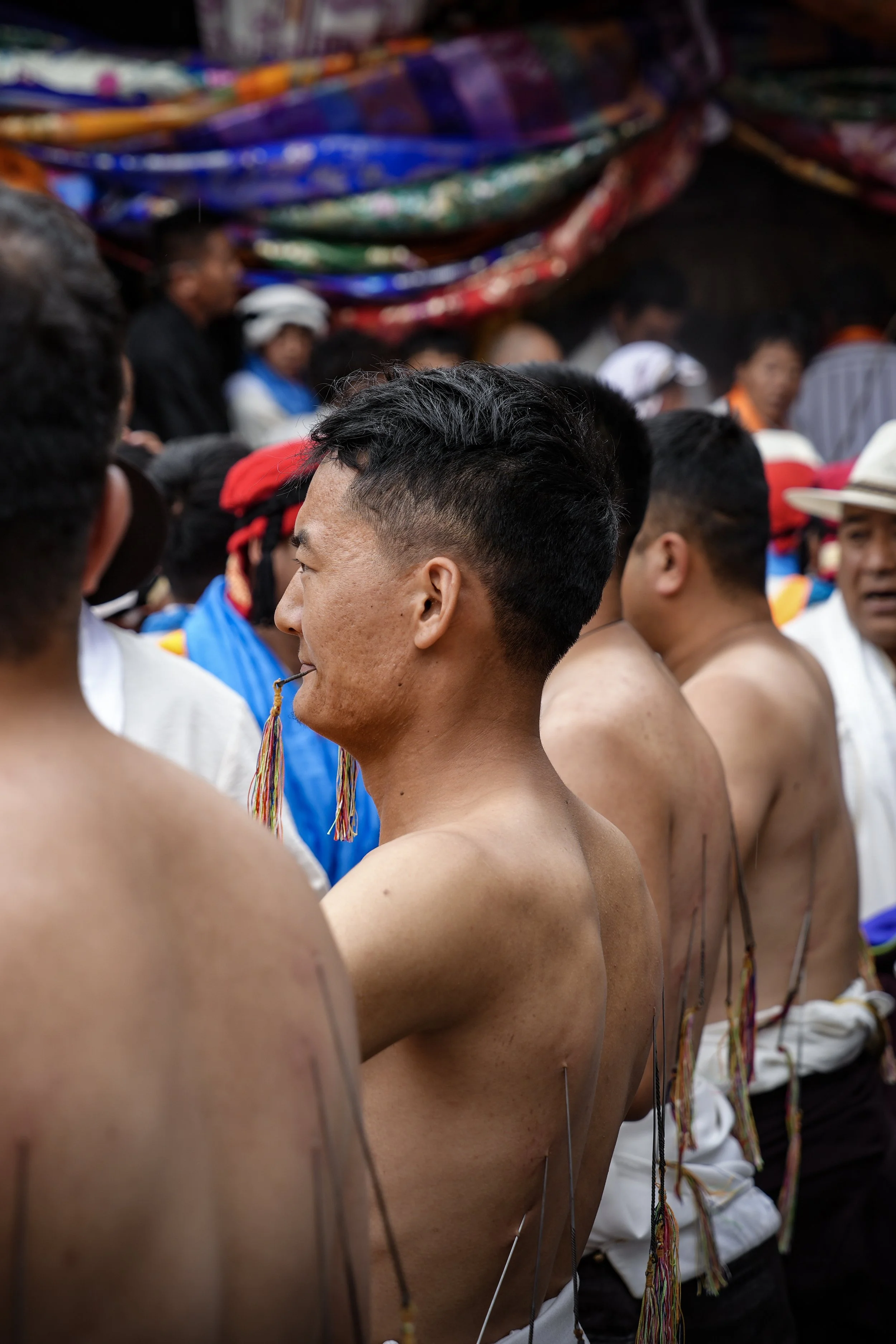 DSC05467-1.jpg