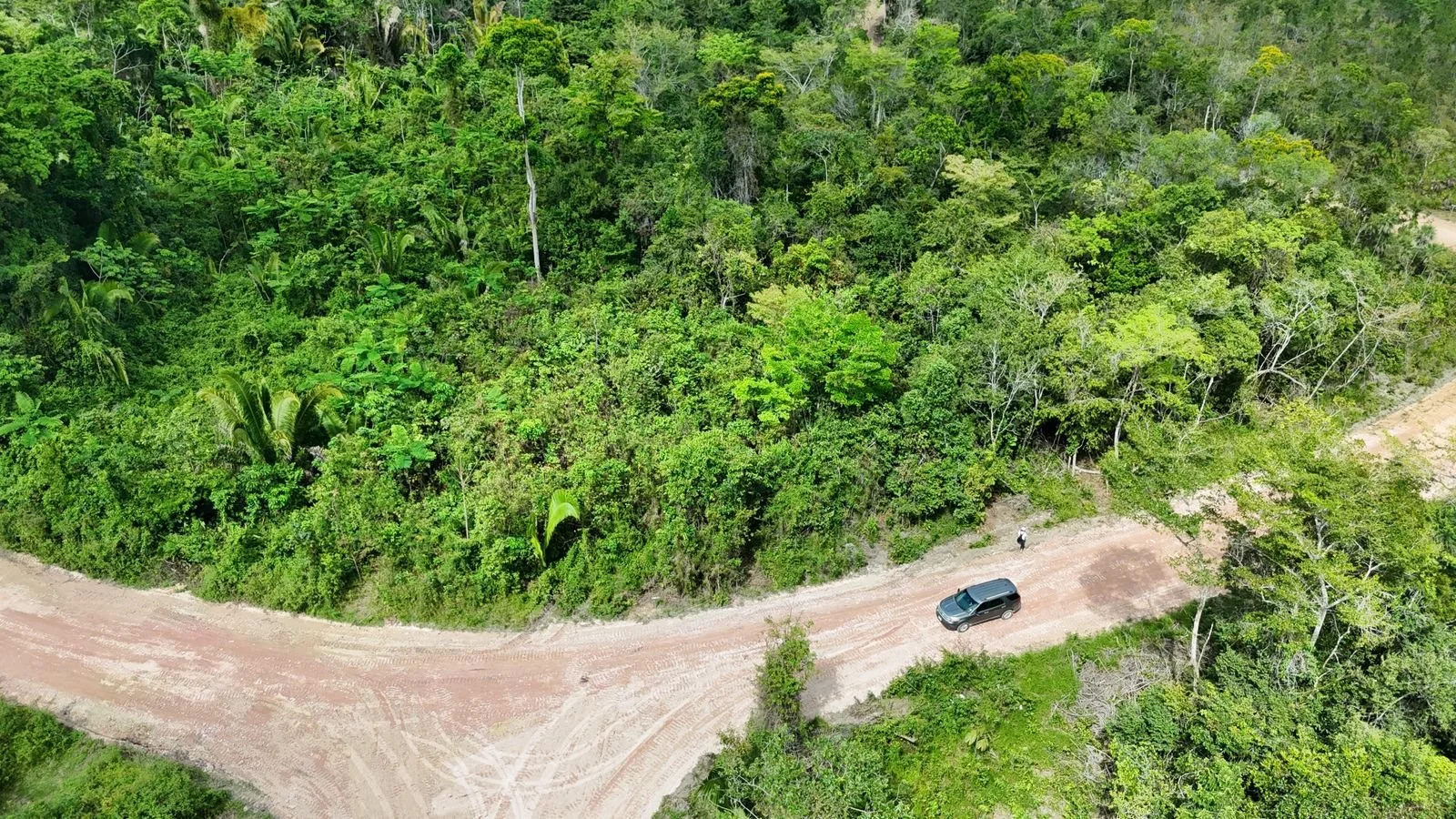 An aerial view of a dirt road winding through a dense green forest with a black SUV parked on the side and a person walking nearby.