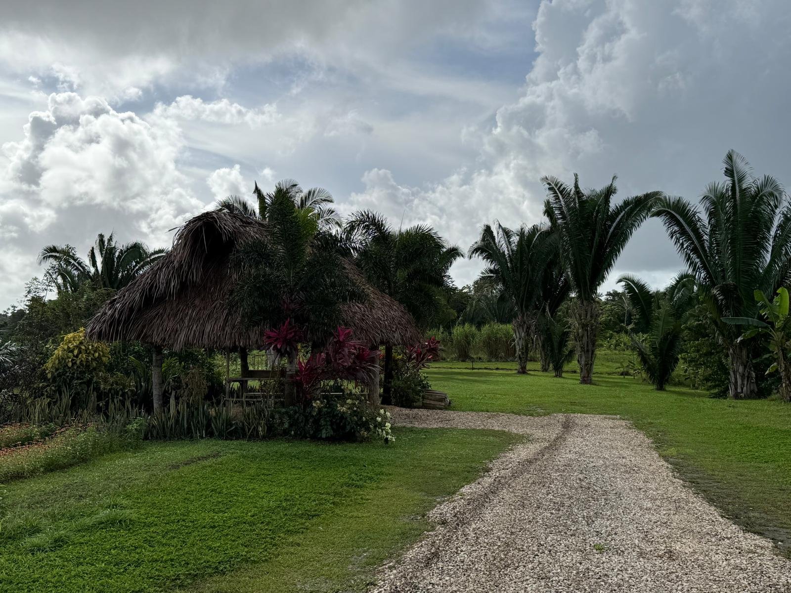A tropical garden scene with a thatched hut, a gravel path, and palm trees under a partly cloudy sky.