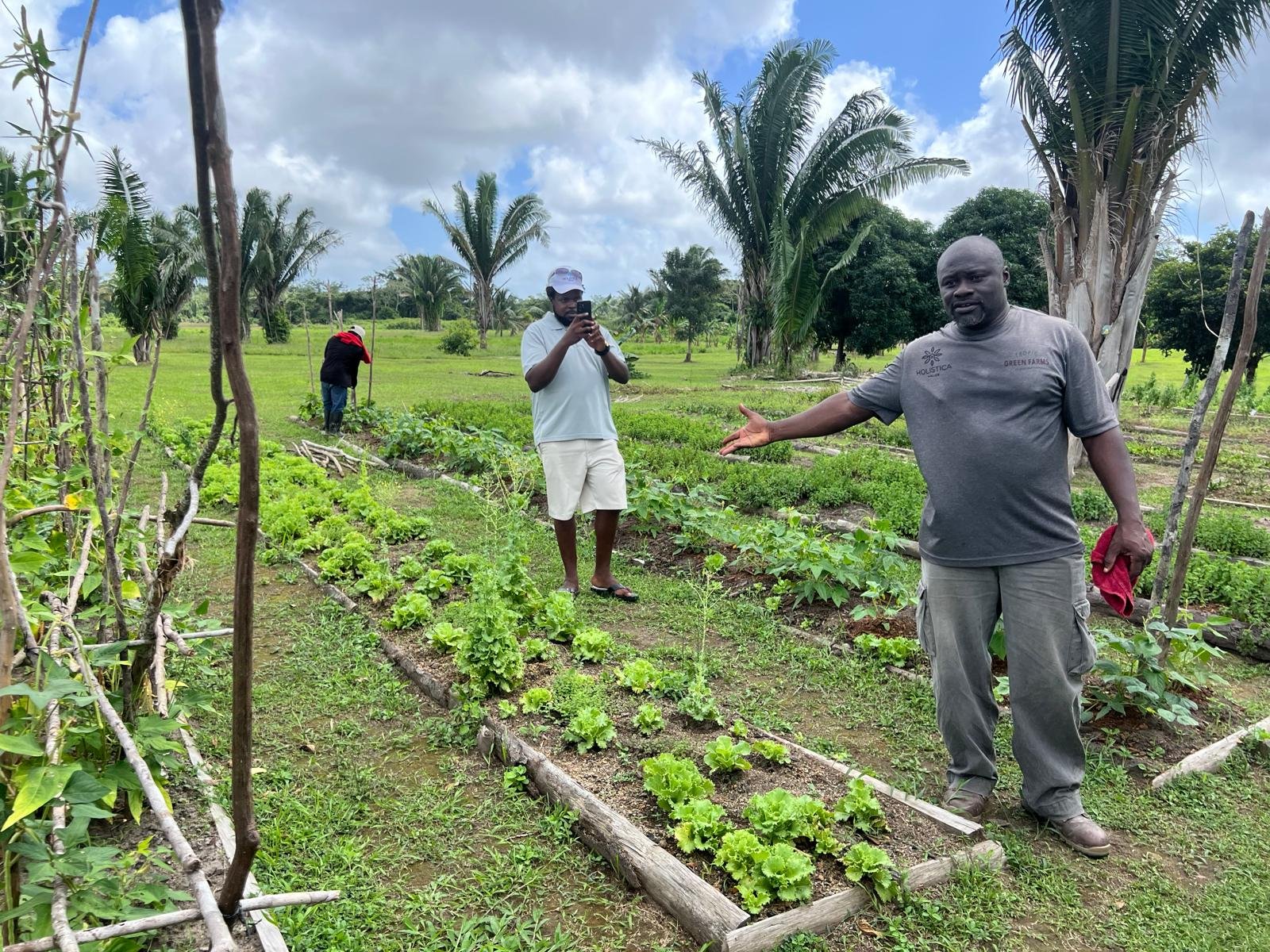 People working and discussing in a lush farm with rows of leafy greens, palm trees, and a partly cloudy sky.