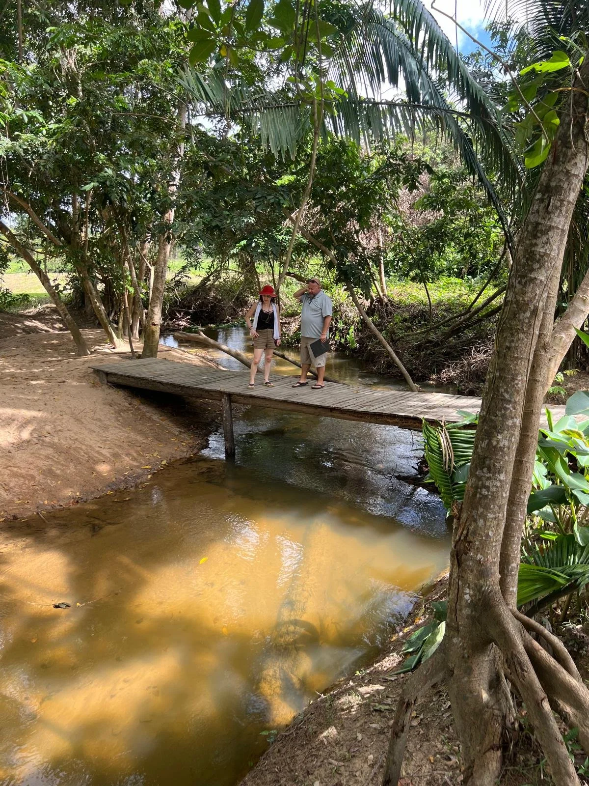 Two people standing on a small wooden bridge over a creek in a lush, tropical forest with dense green foliage.