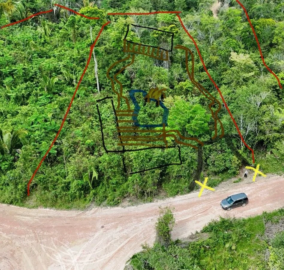 An aerial view of a lush green forest with a dirt road running through it. There is a black SUV parked on the road and two people standing nearby. Overlaid on the image are various colored lines and crosses, indicating possible pathways, boundaries, 