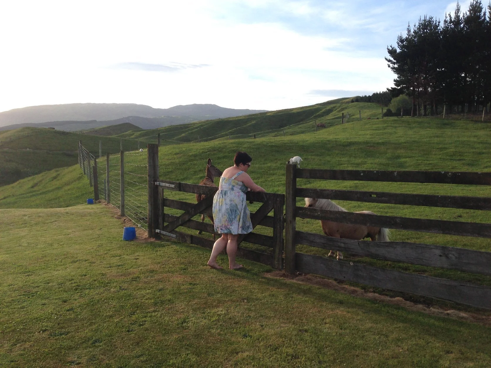 A woman leaning on a wooden fence petting two small ponies in a green pasture.