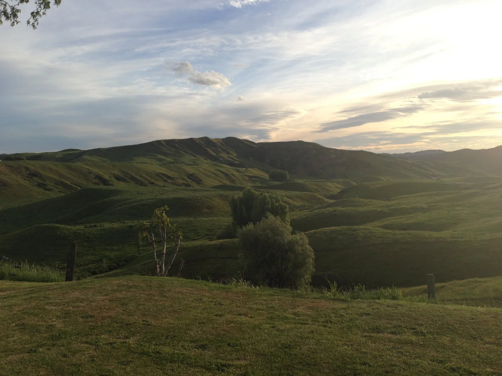 Sunset over rolling green hills with trees and a partly cloudy sky.