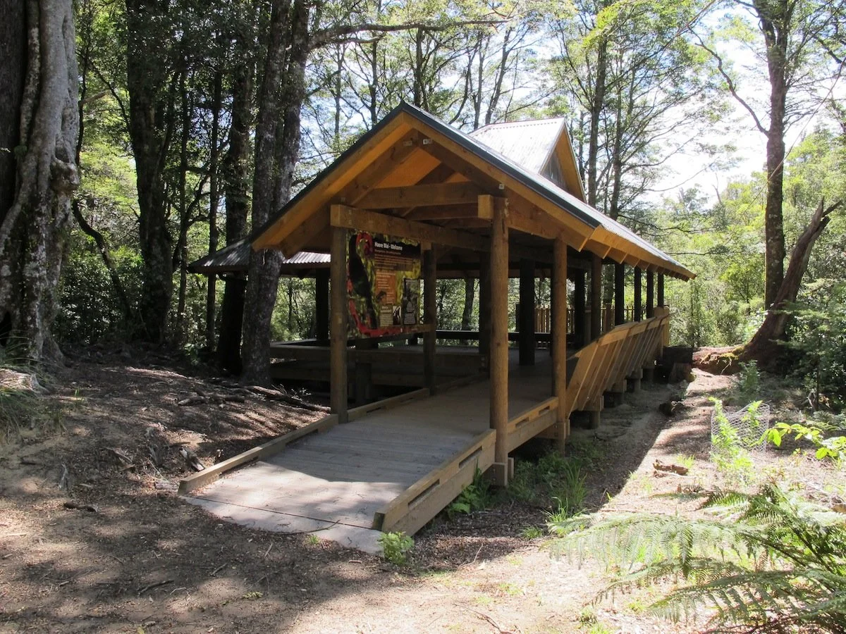 A wooden covered bridge in a forested area with trees and greenery surrounding it.