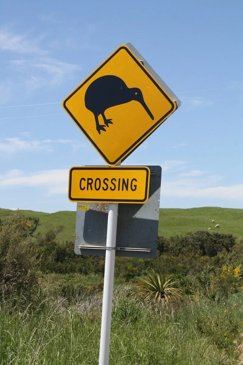 A road sign indicating a kiwi bird crossing with a yellow background and black silhouette of a kiwi, accompanied by a smaller sign that says "CROSSING".