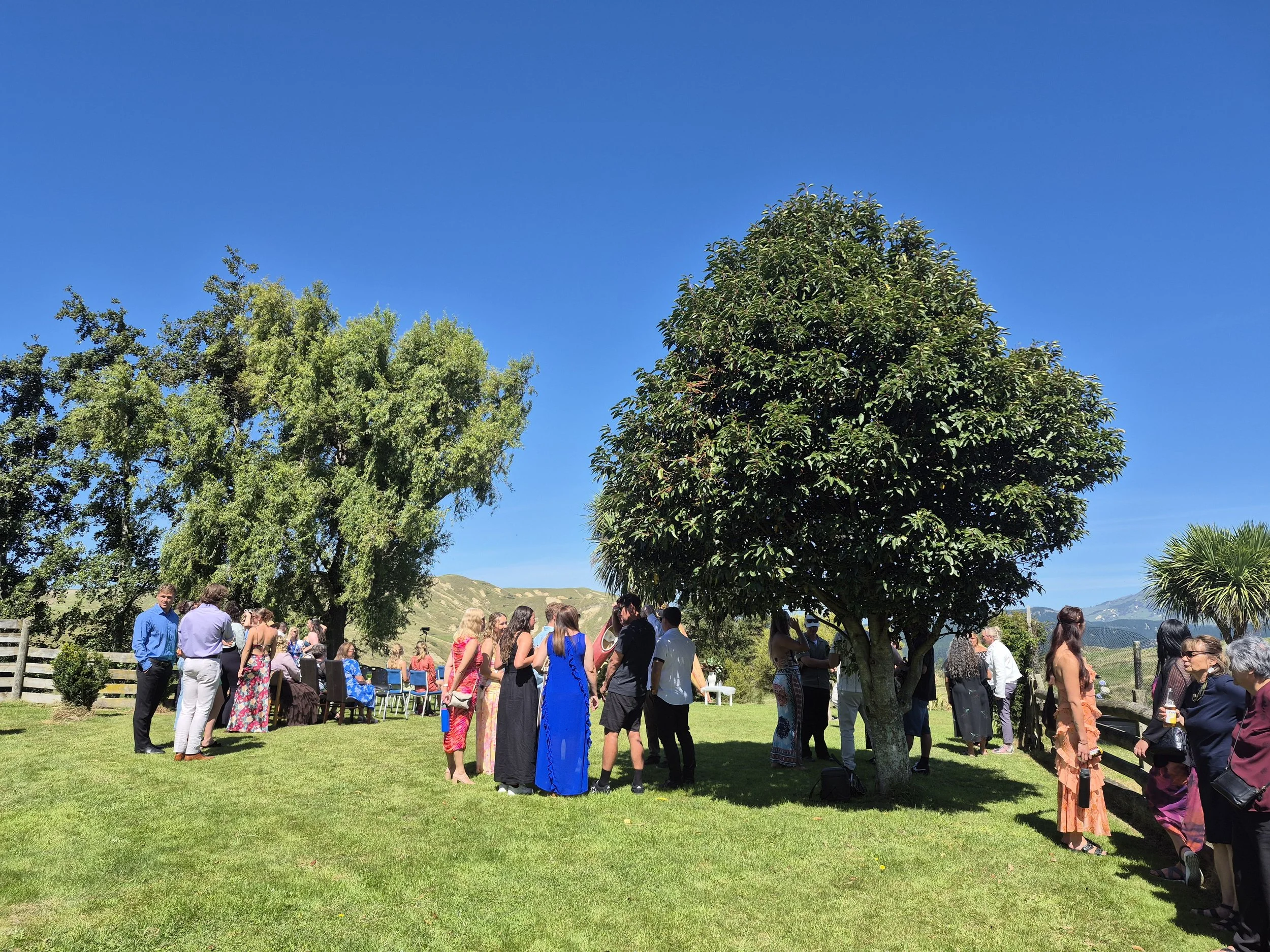 Group of people gathered outdoors on a sunny day, socializing near trees on a grassy lawn.