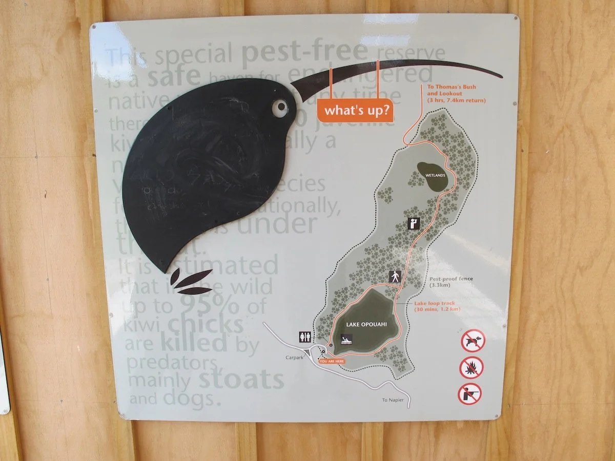Map of Lake Opouahi with trails, wetlands, and birdwatching areas, featuring signs like 'what's up?' and symbols indicating restrictions on dogs, fires, and fishing.