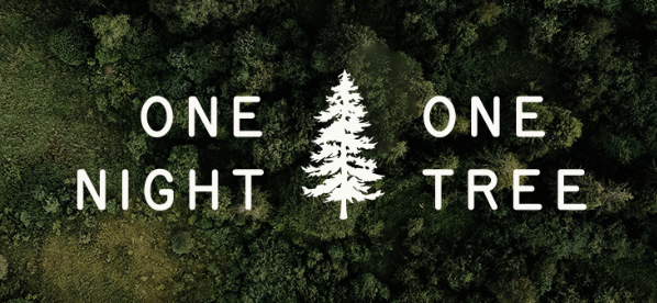 Aerial view of a forest with overlaid text 'ONE NIGHT ONE TREE' and a white pine tree illustration in the center.