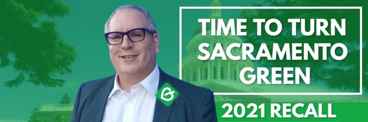 Dan Kapelovitz, Green for Recall Governor