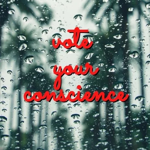 Green Party of Sacramento's Endorsed 2022 Primary Candidates