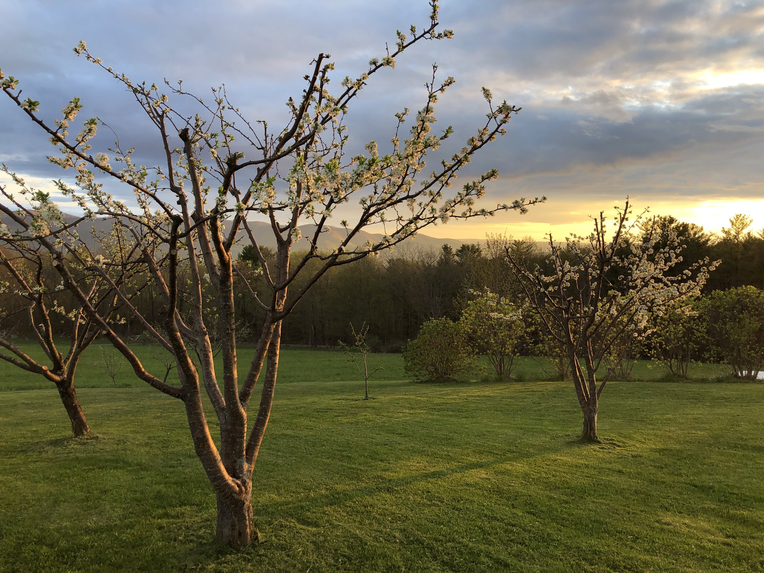 Where Health Actually Comes From