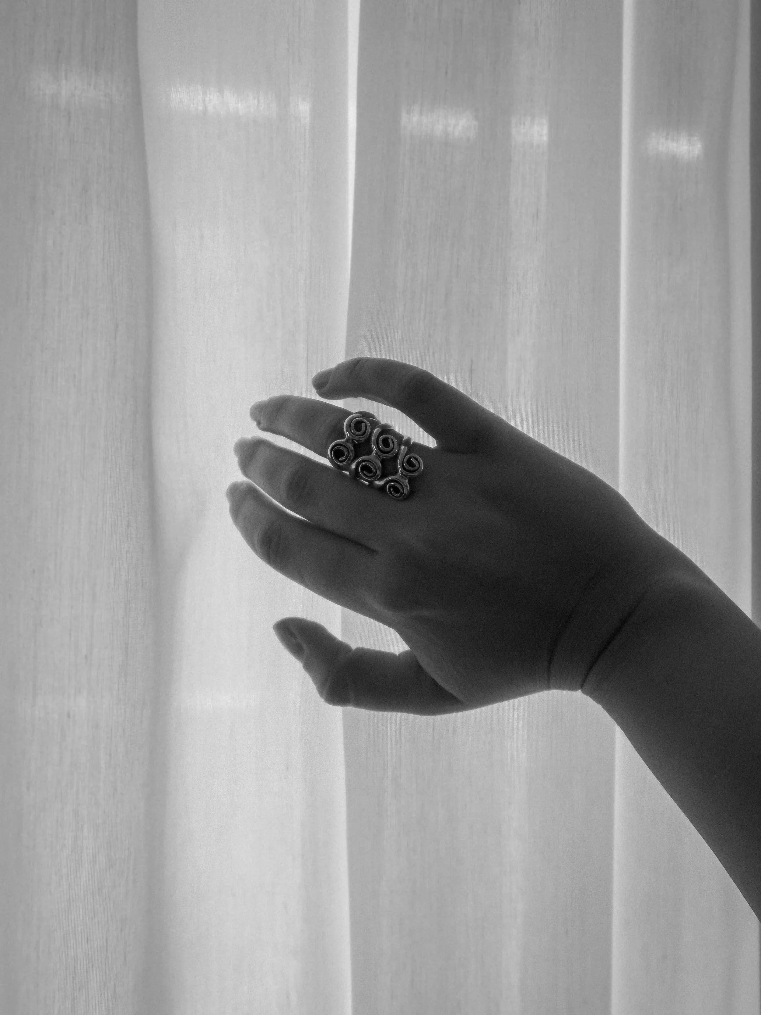 IMG_6631_blurred.jpg