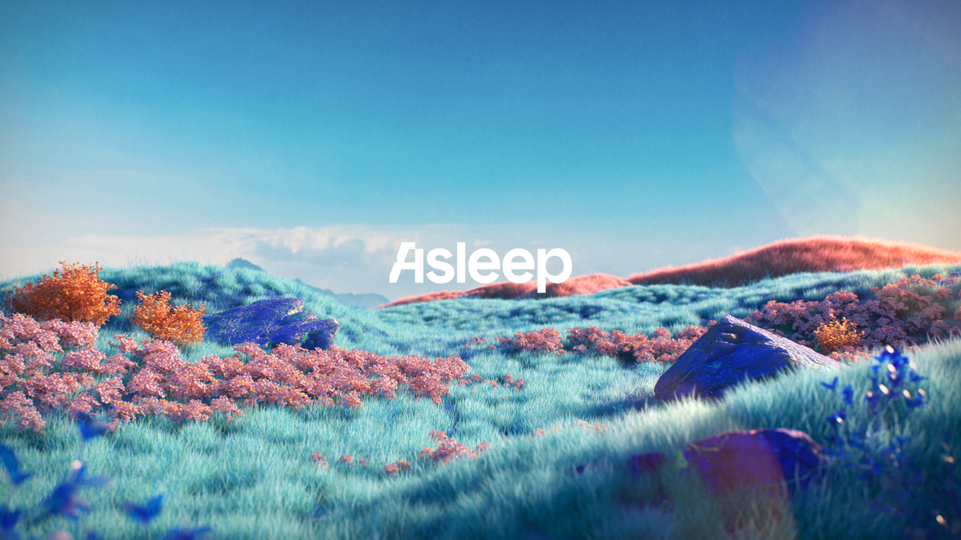 ASLEEP - New BI Animation