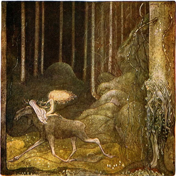 Fairy riding a wolf in a forest with plants and rocks.