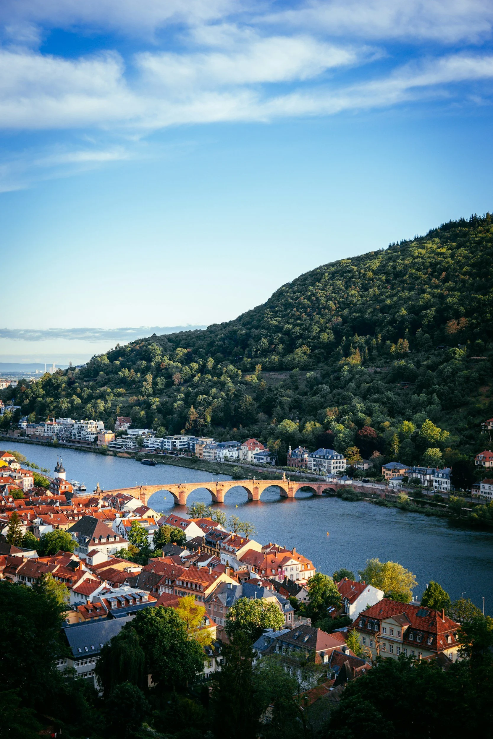 Country Guide: Germany