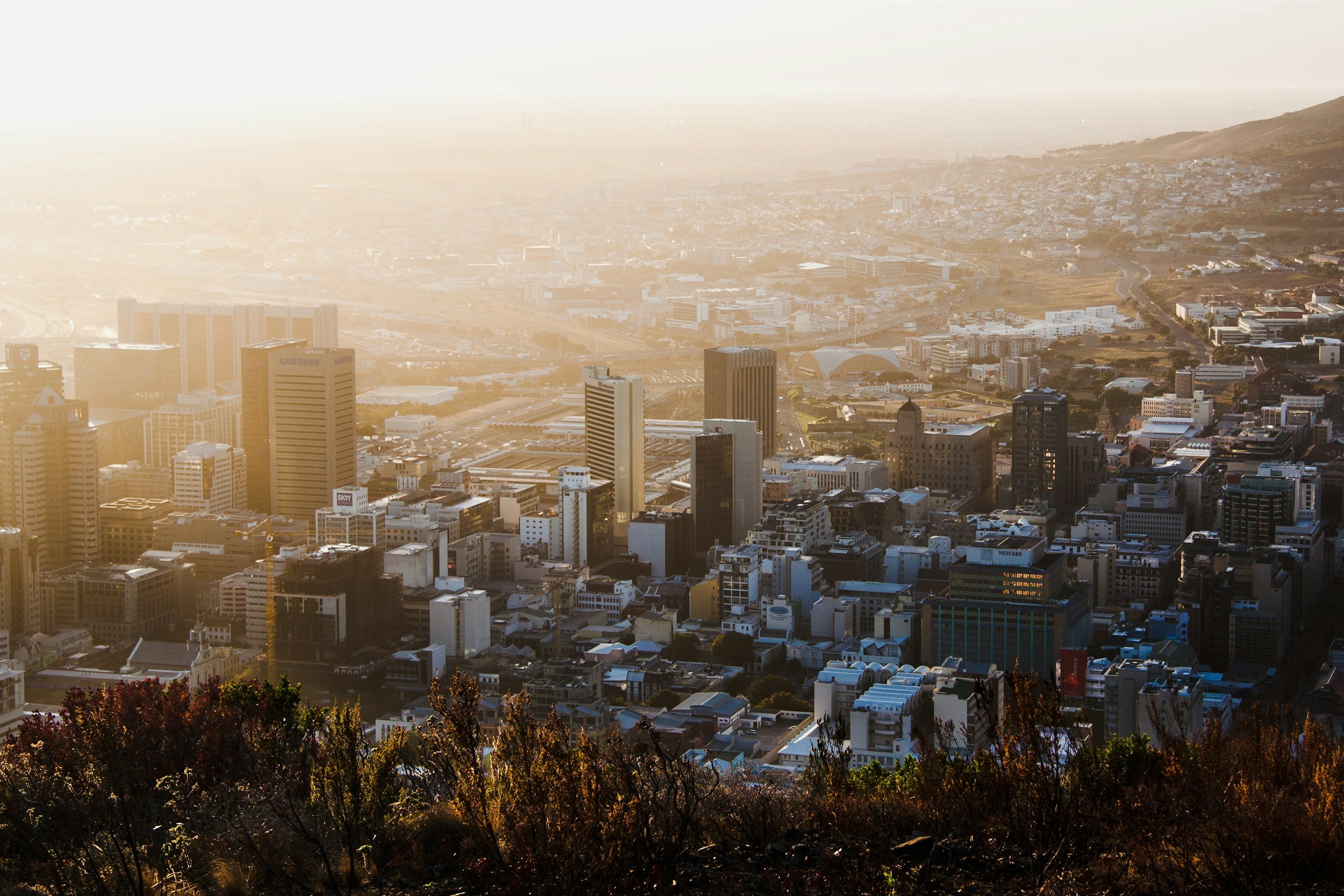 Country Guide: South Africa