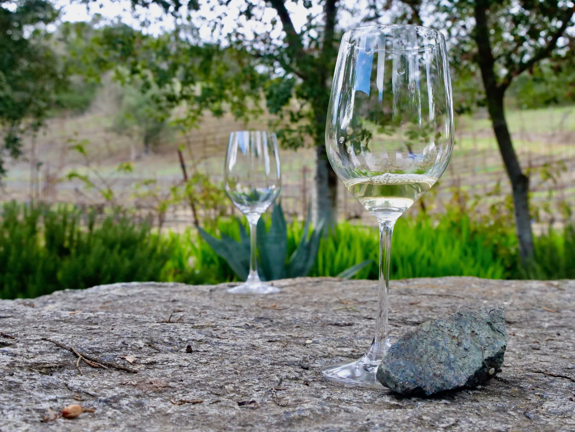 State Rocks and Amazing Wines