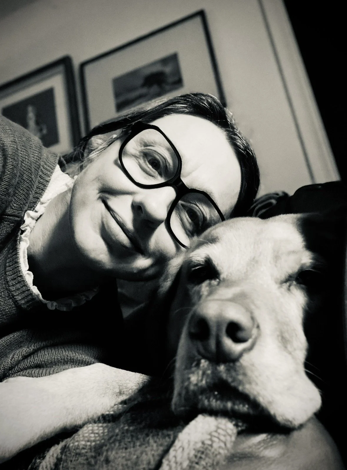 A woman wearing glasses and a sweater, smiling, taking a selfie with her dog, a large breed with light fur, lying down with closed eyes, in a room with framed pictures on the wall.