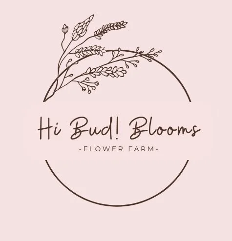 Hi Bud! Blooms