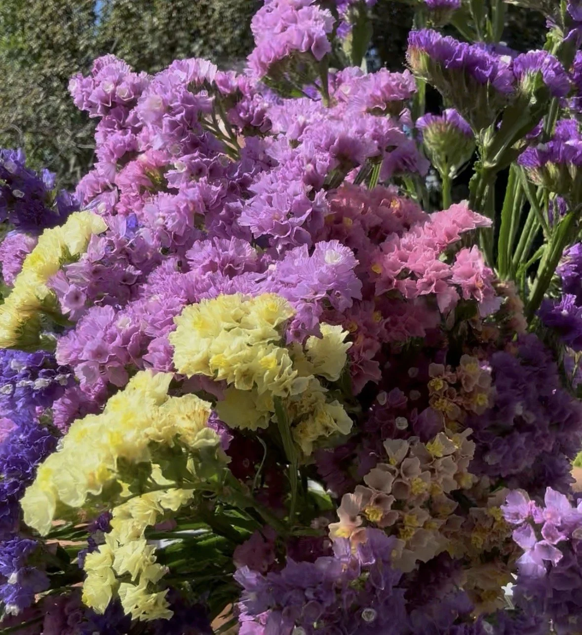 A colorful cluster of flowers including purple, pink, and yellow statice flowers, with green stems and leaves visible in bright sunlight.