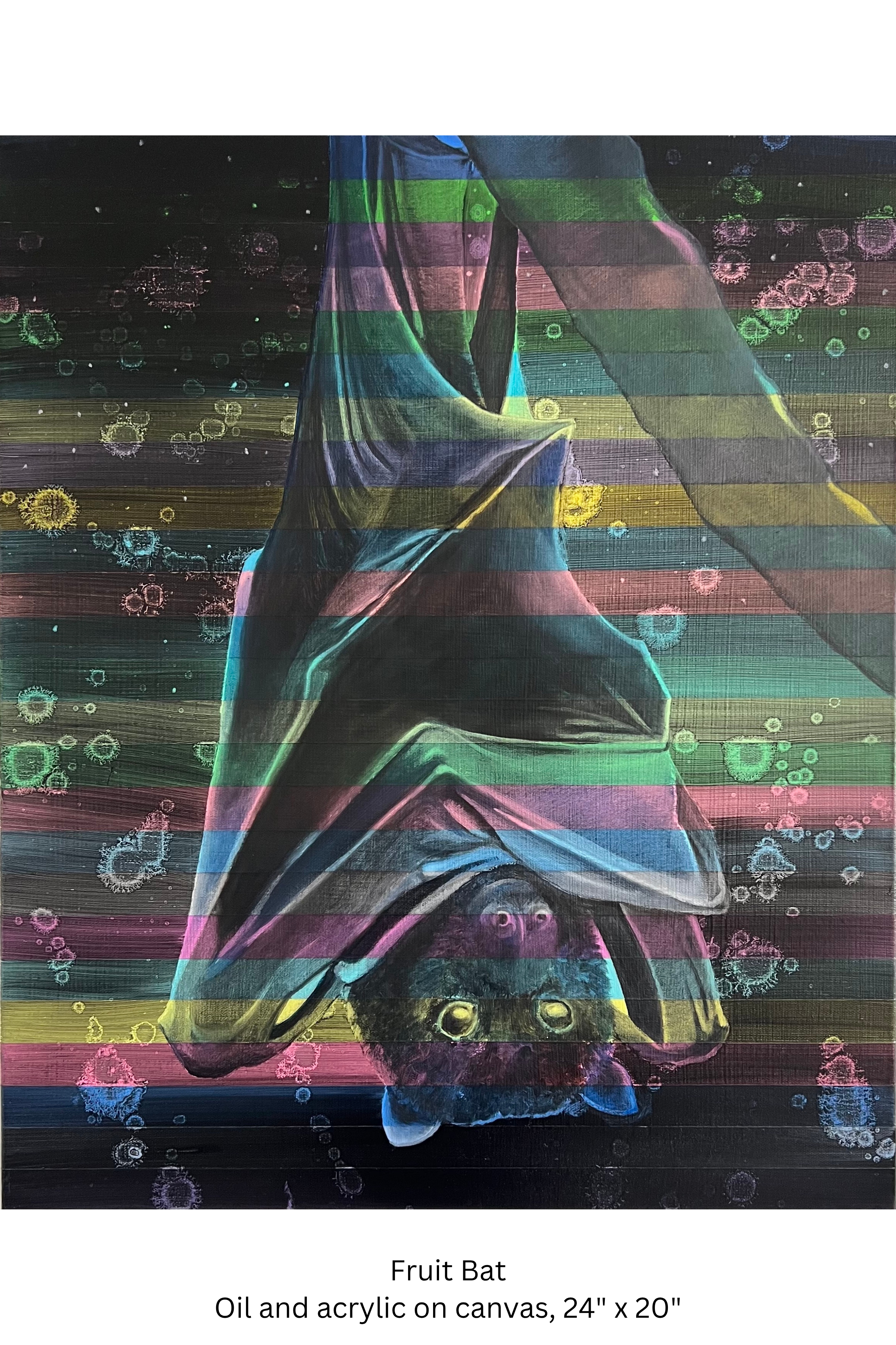 13.png