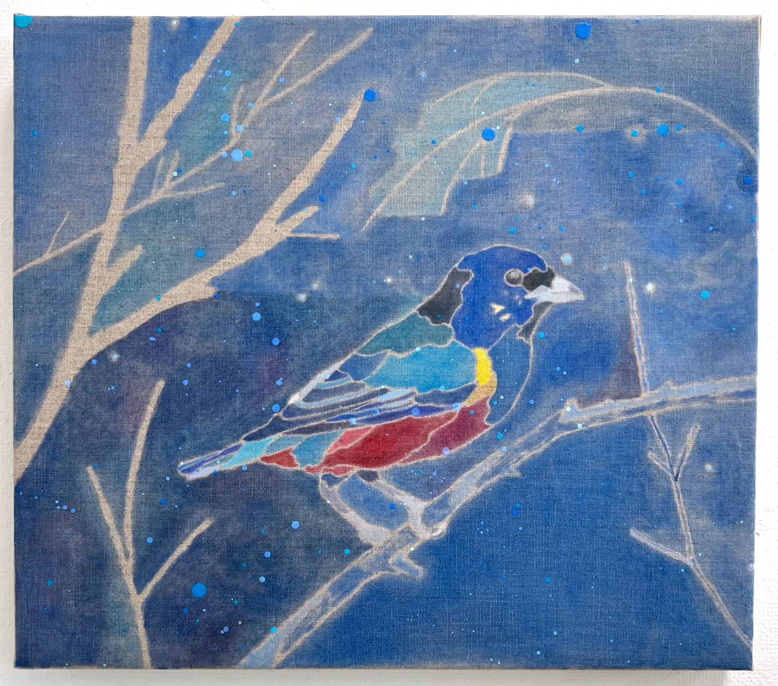 Chestnut-bellied Euphonia