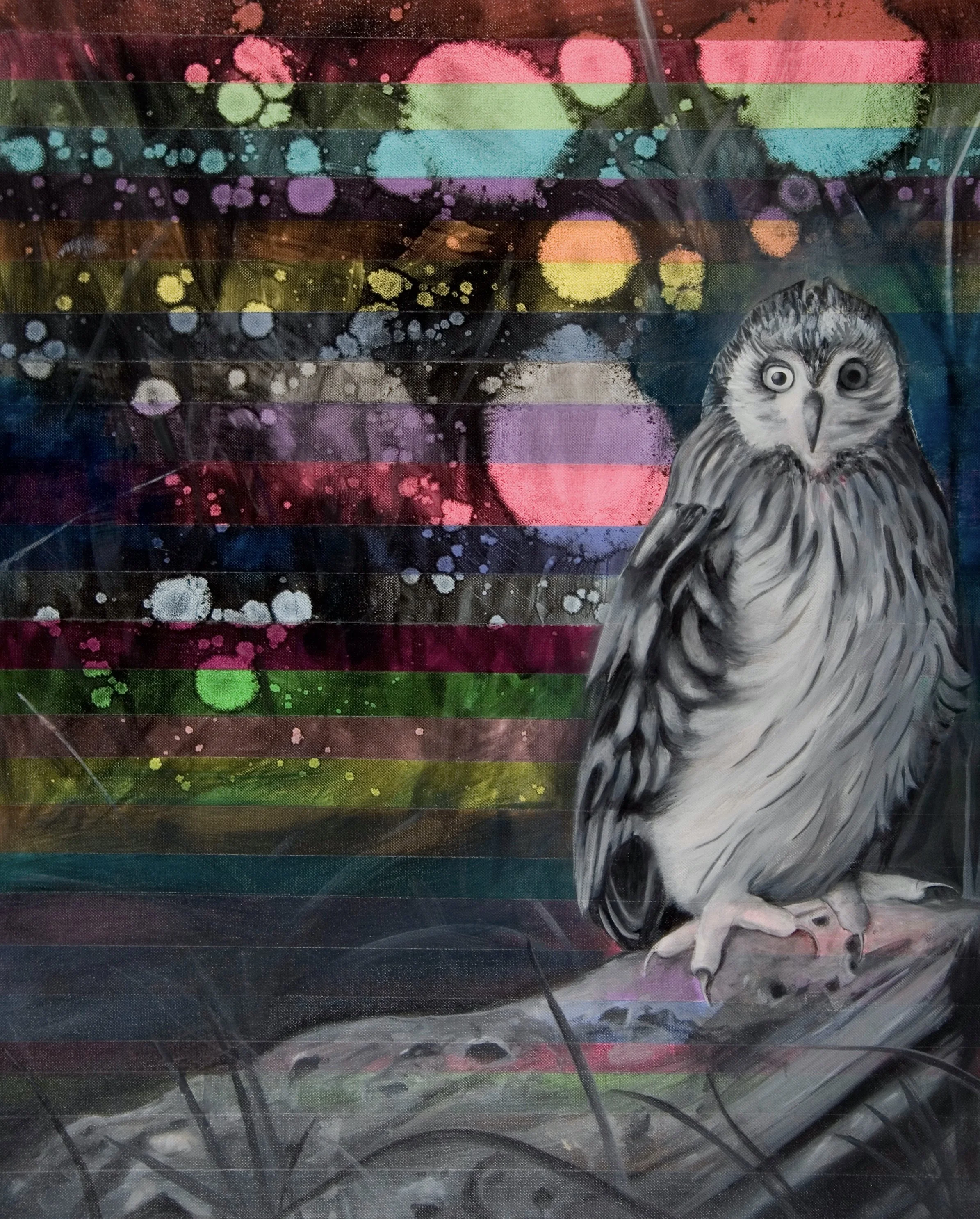 Owl  
Acrylic and oil on canvas 34" x 24"