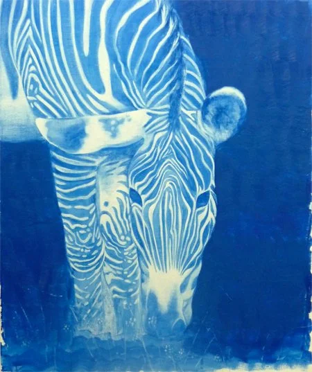 Zeba 
Oil on canvas 40" x 34"