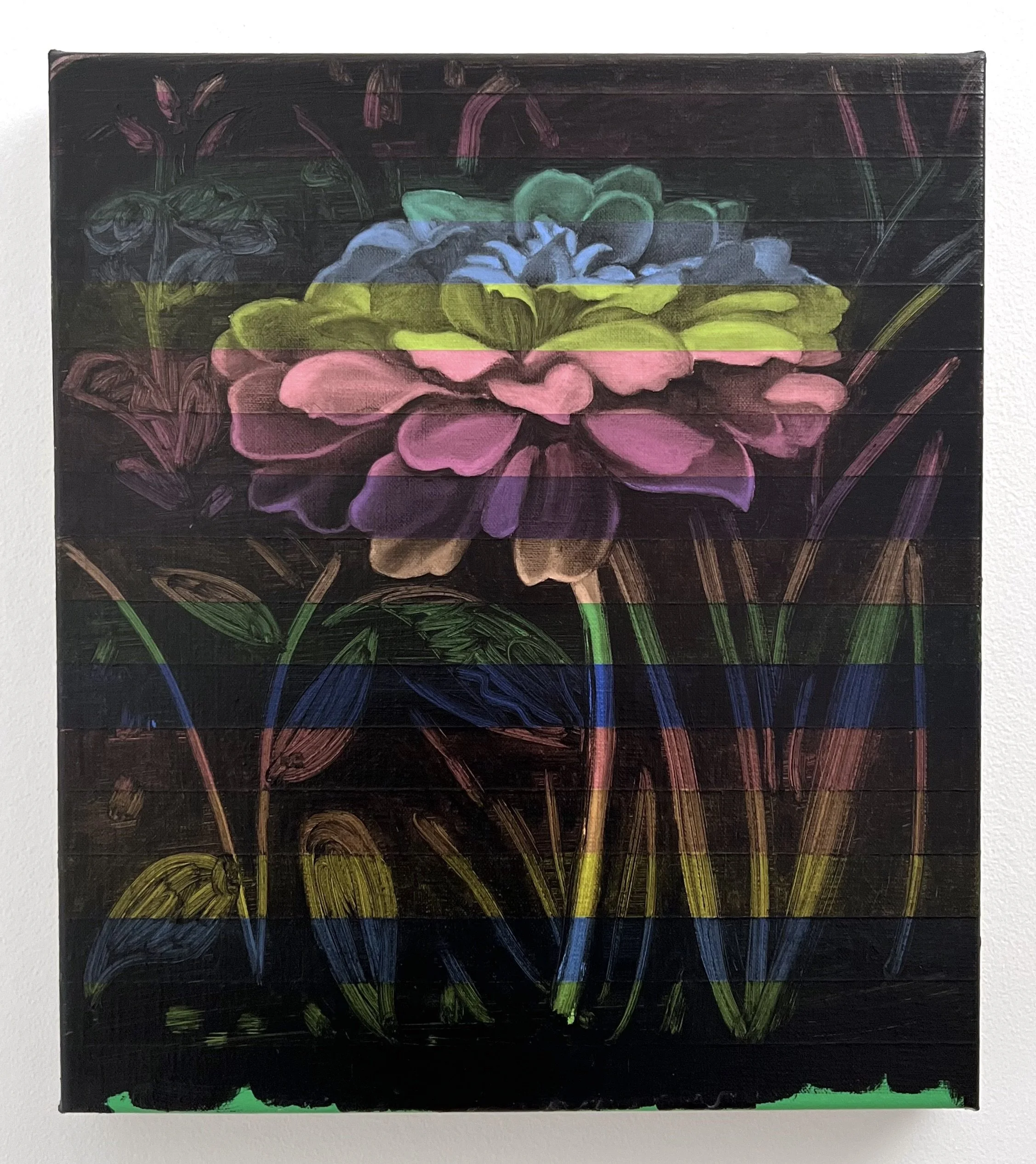 Pink Zinnia 
Acrylic and oil on linen 16" x 14"