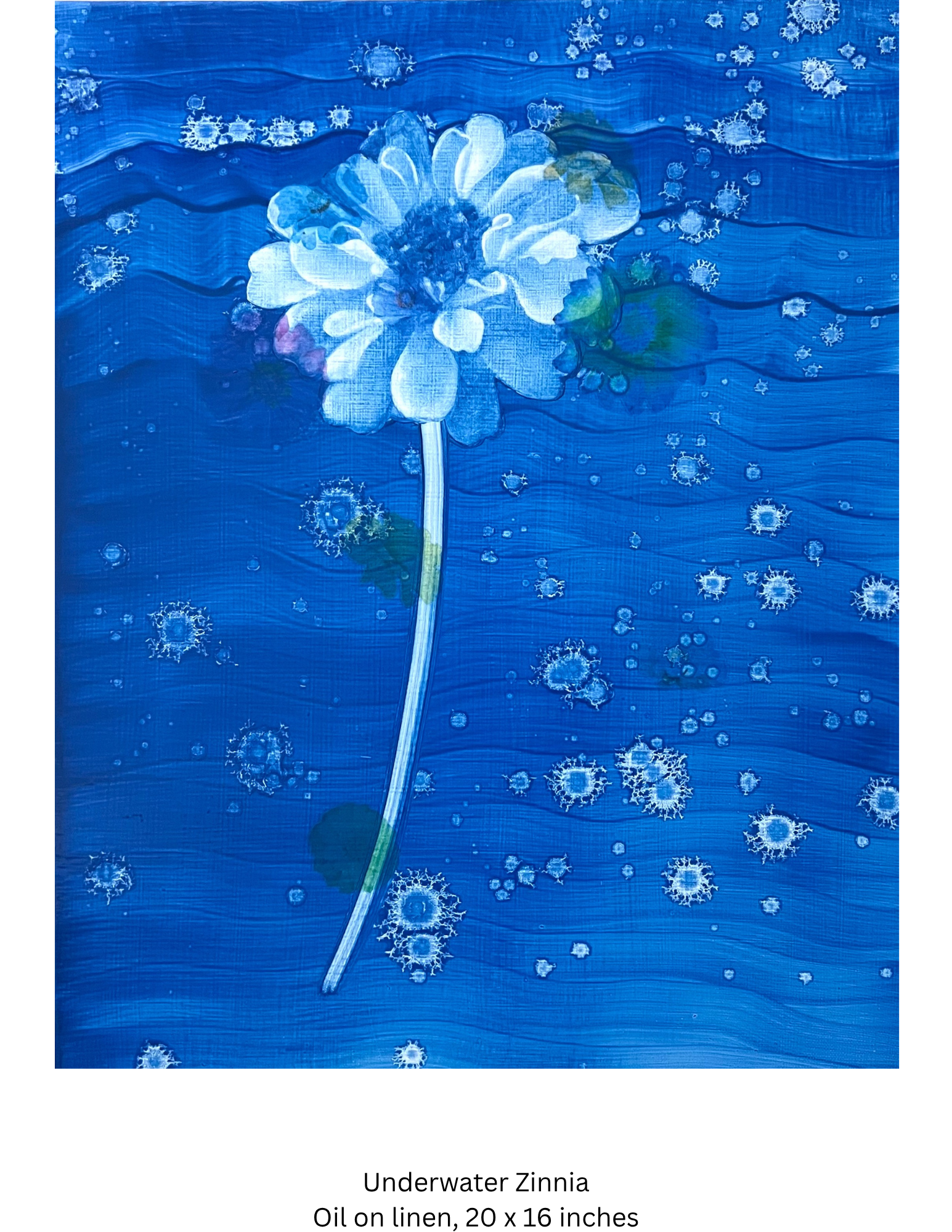 Underwater Zinnia Oil on linen 20 x 16 inches.png