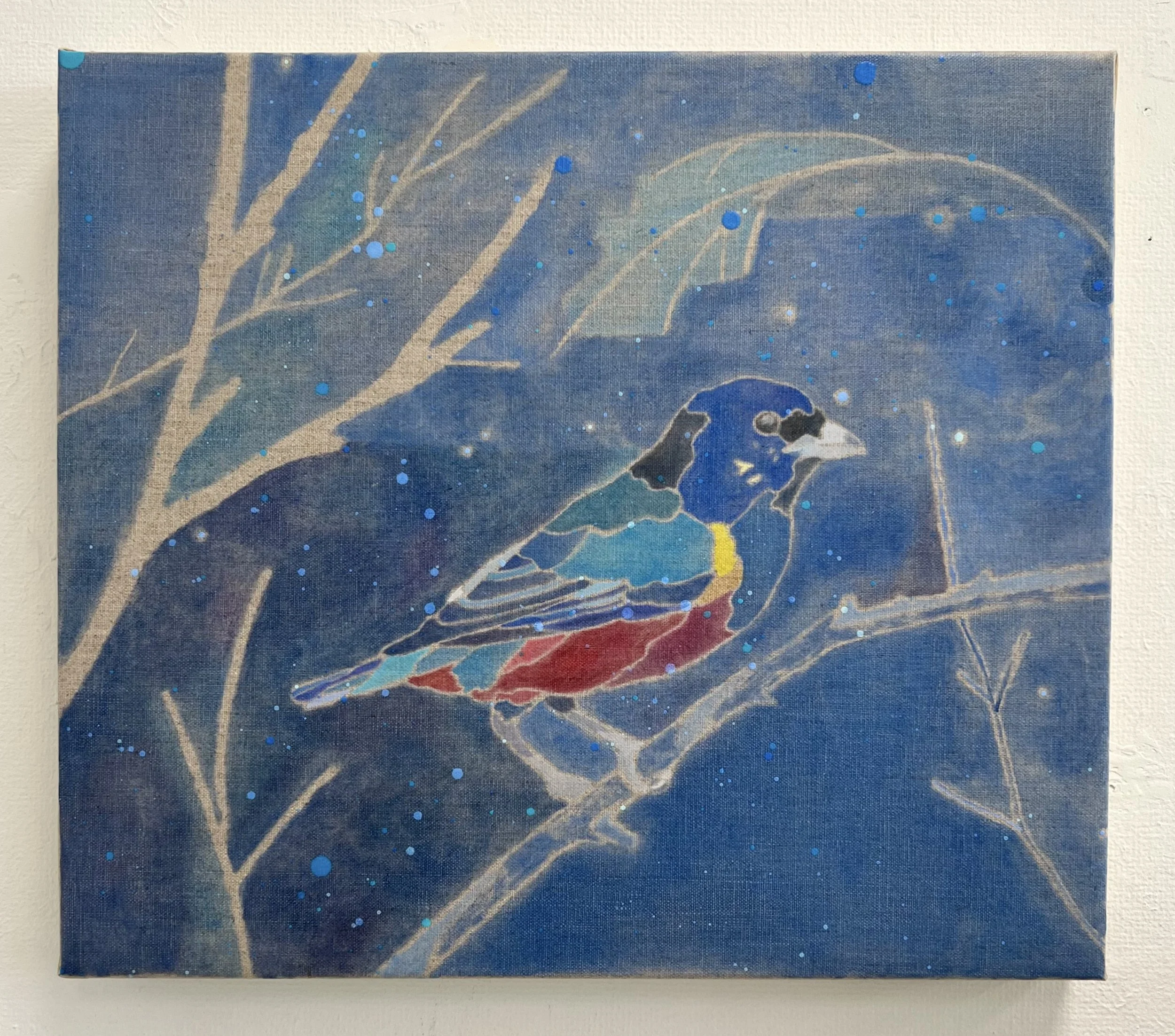  
Chestnut-bellied Euphonia 
Oil on canvas 16" x 18"