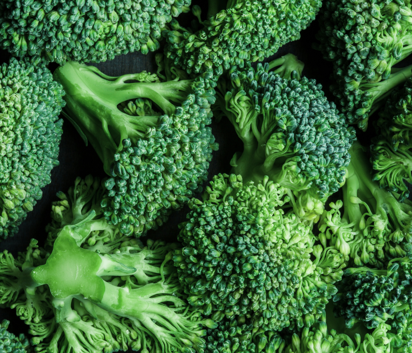 Broccoli florets that can be safely fed to dogs in small amounts
