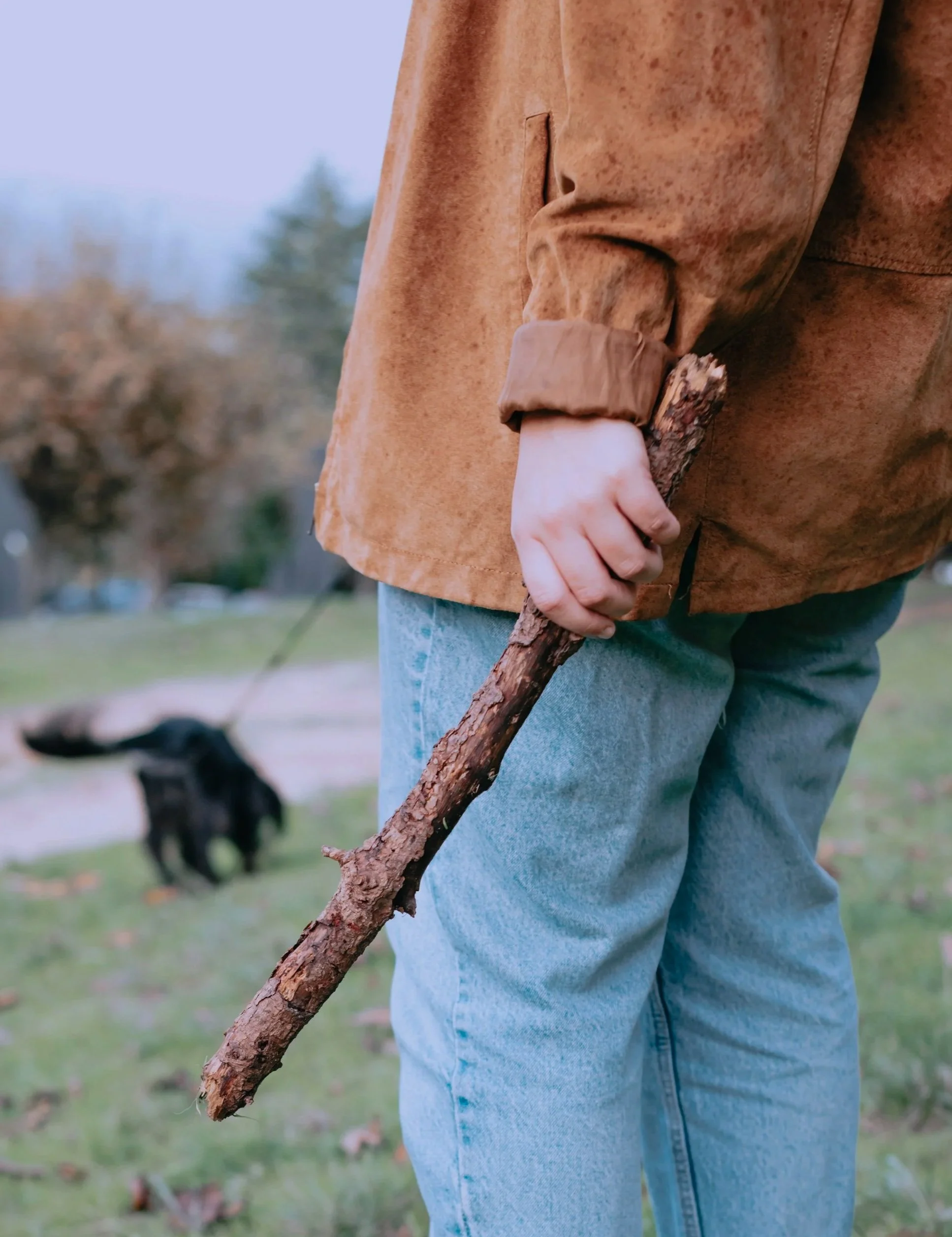 Why I don’t throw sticks for my dog.