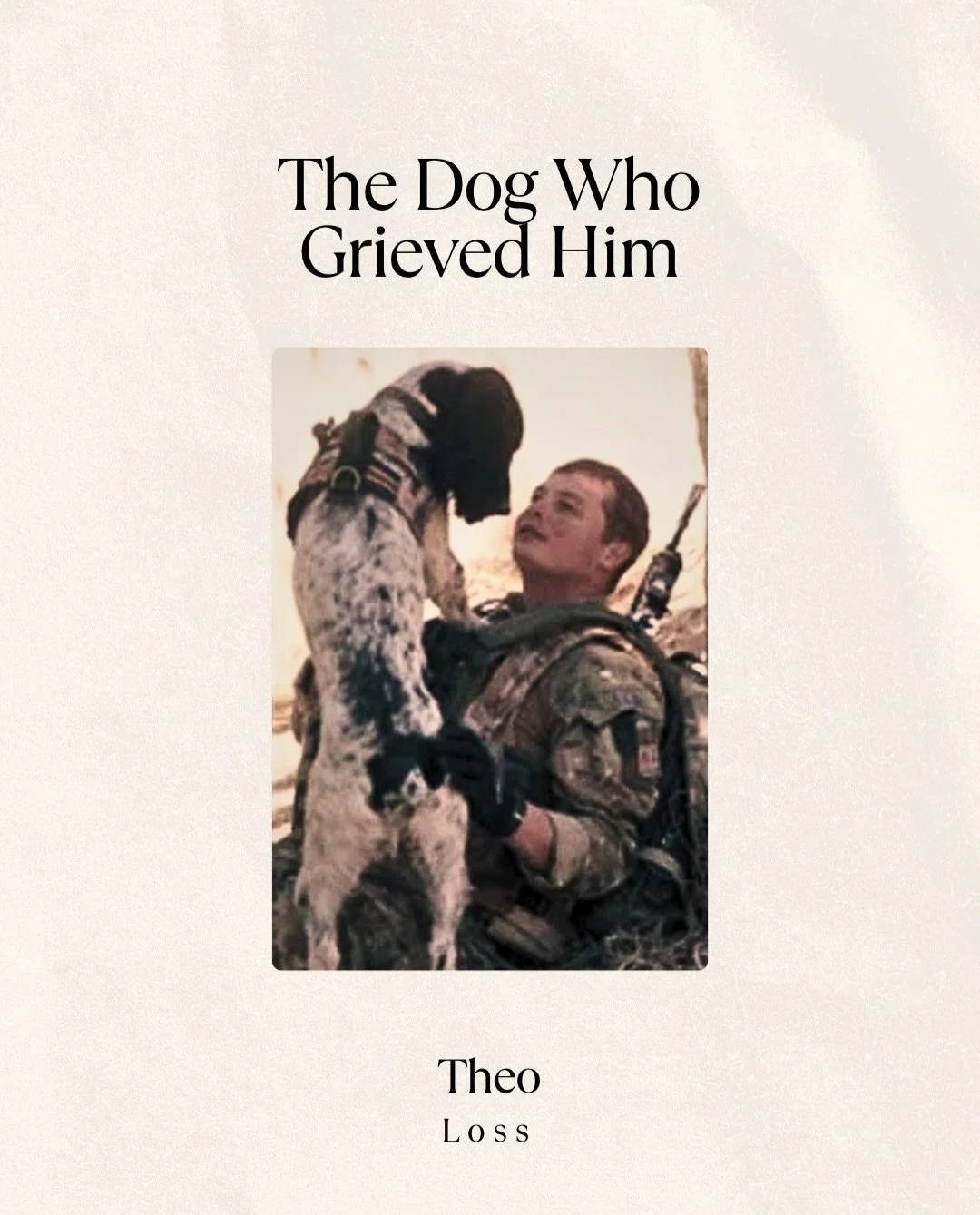 We often talk about what dogs mean to us. Stories like Theo&rsquo;s are a reminder that the bond goes both ways.

After Lance Corporal Liam Tasker was killed in Afghanistan, Theo suffered a fatal seizure within hours. He had no physical injuries, and