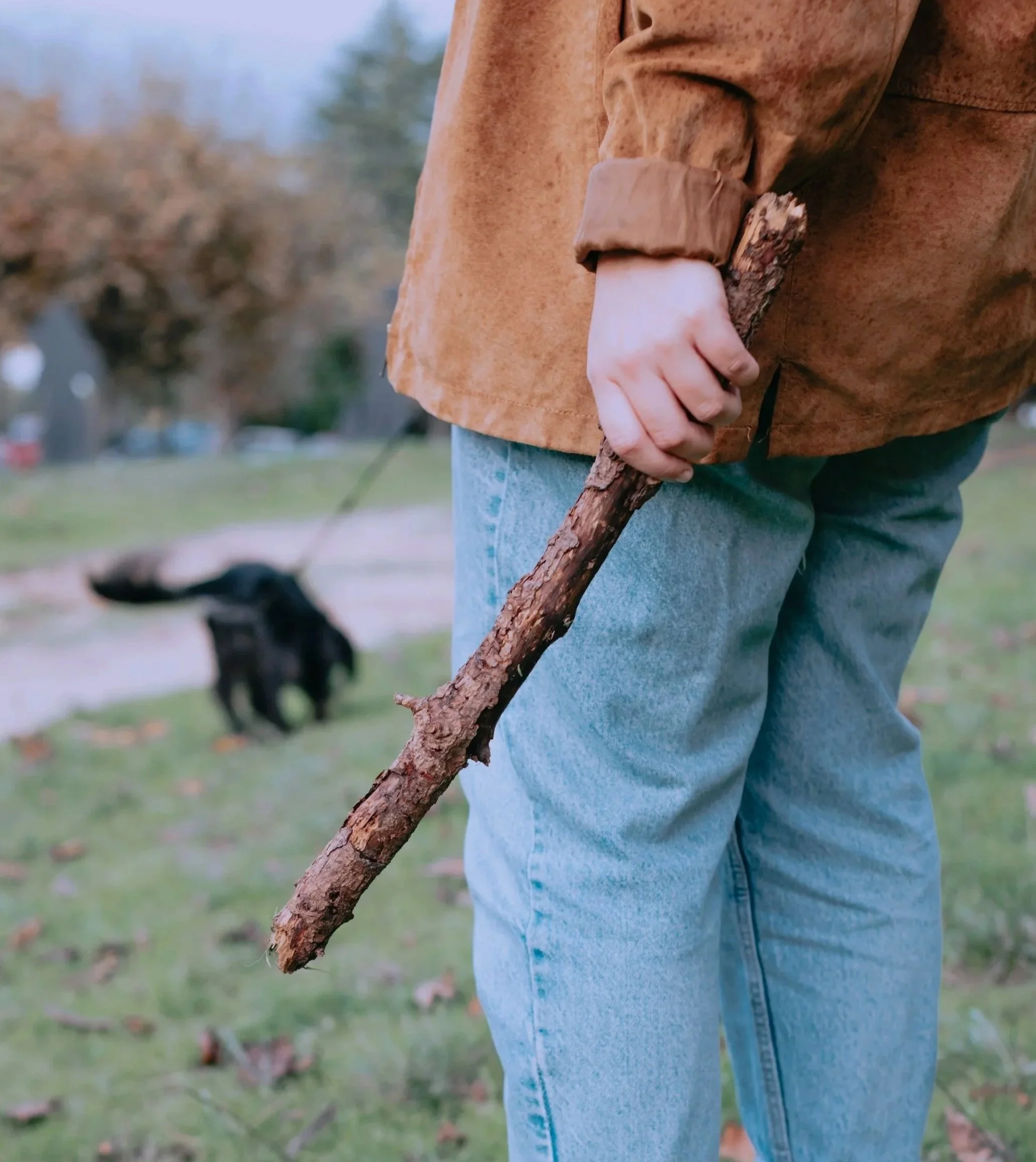 Person holding a stick during a dog walk, illustrating the common game of throwing sticks for dogs.