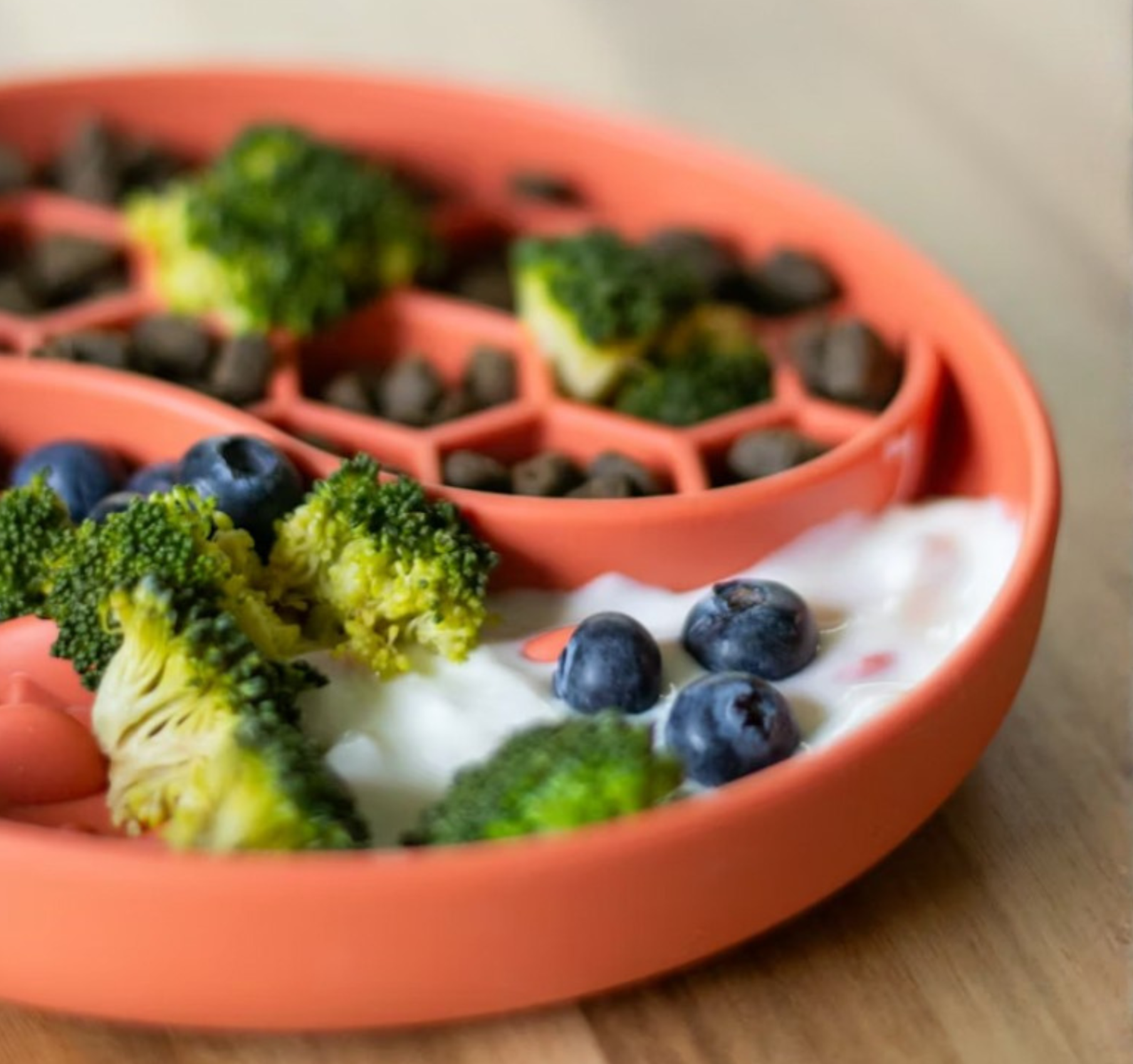 Dog bowl with yogurt, blueberries and broccoli as examples of human foods safe for dogs