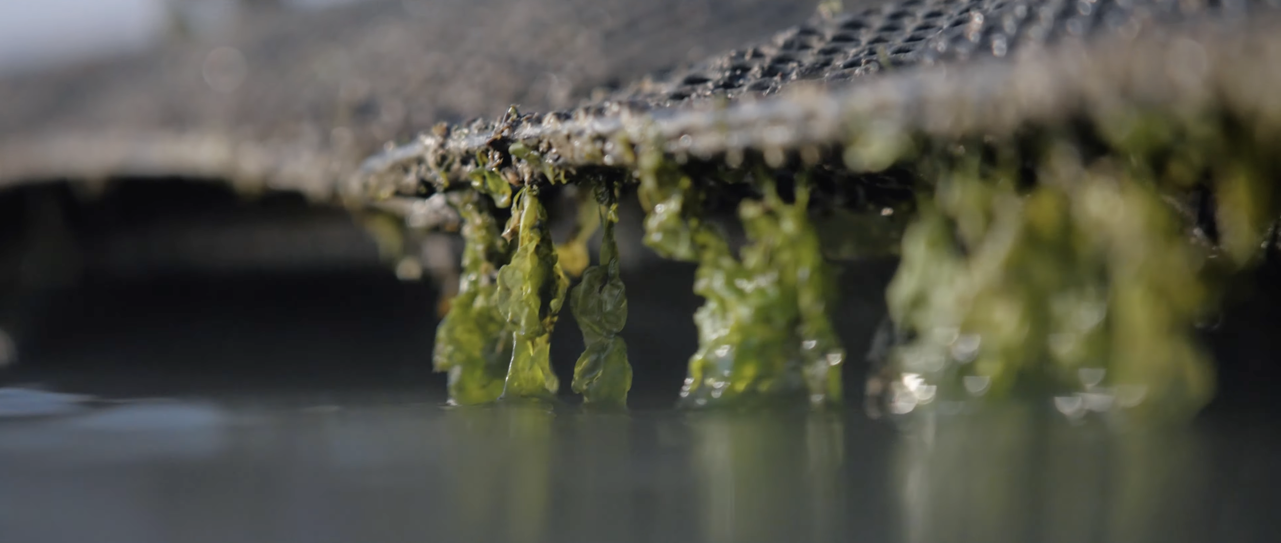 Capture d’écran 2026-03-13 à 13.04.58.png