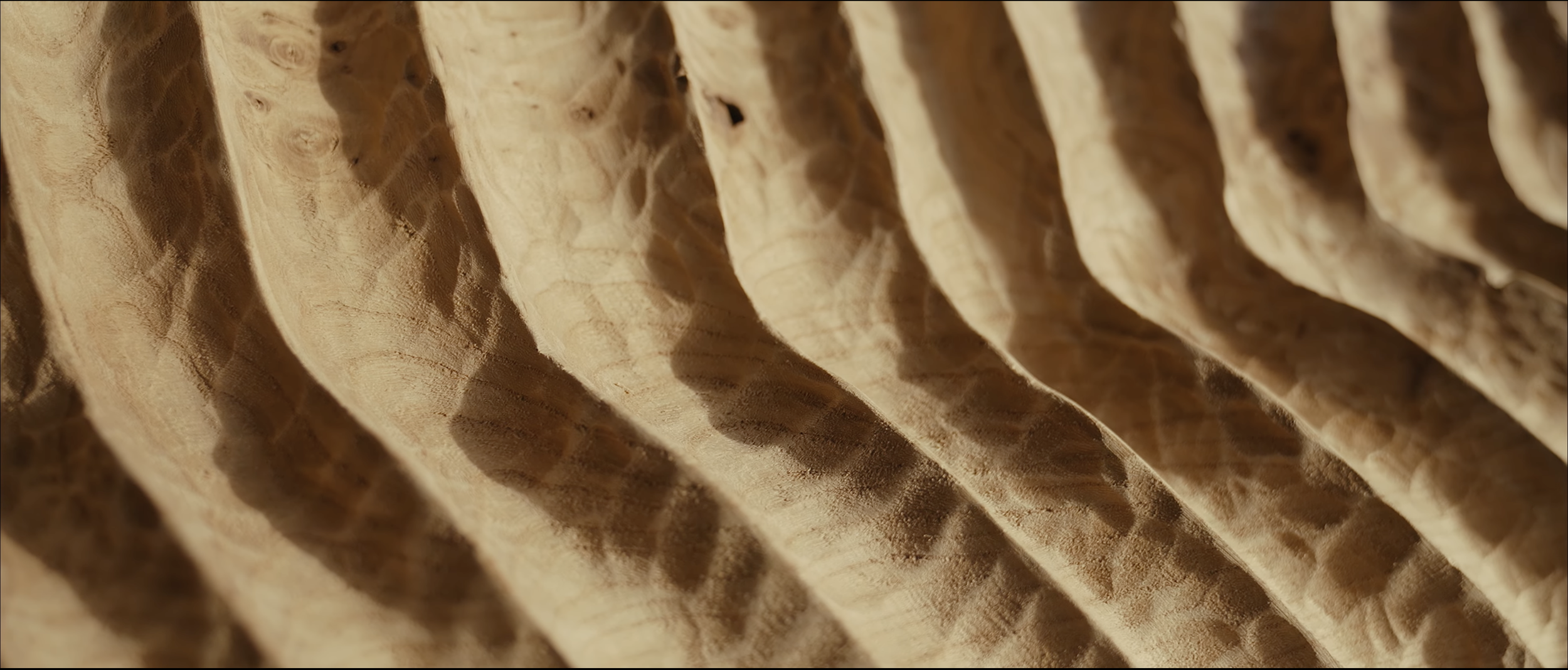 Capture d’écran 2026-03-13 à 14.28.34.png