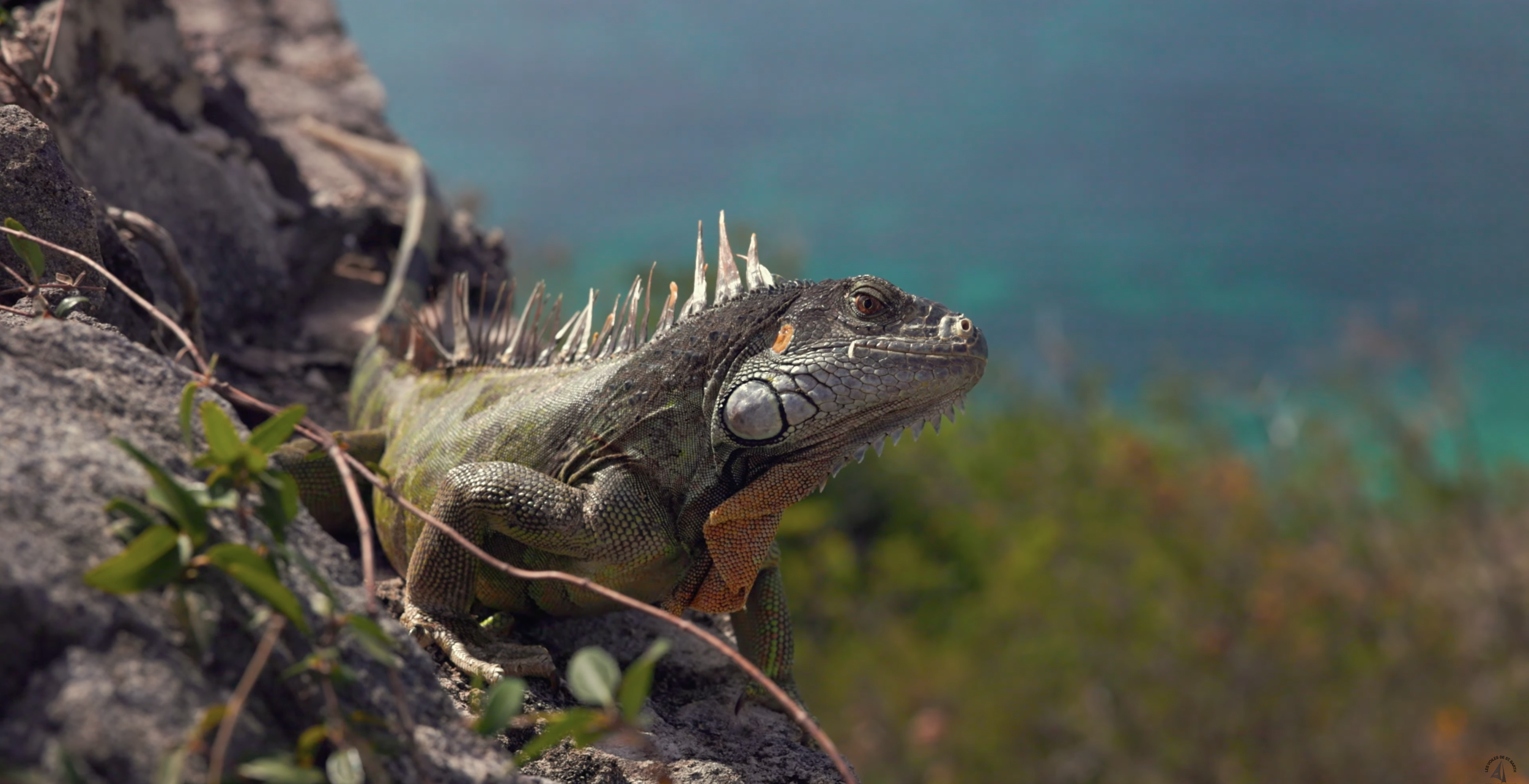 Capture d’écran 2026-03-13 à 15.15.16.png