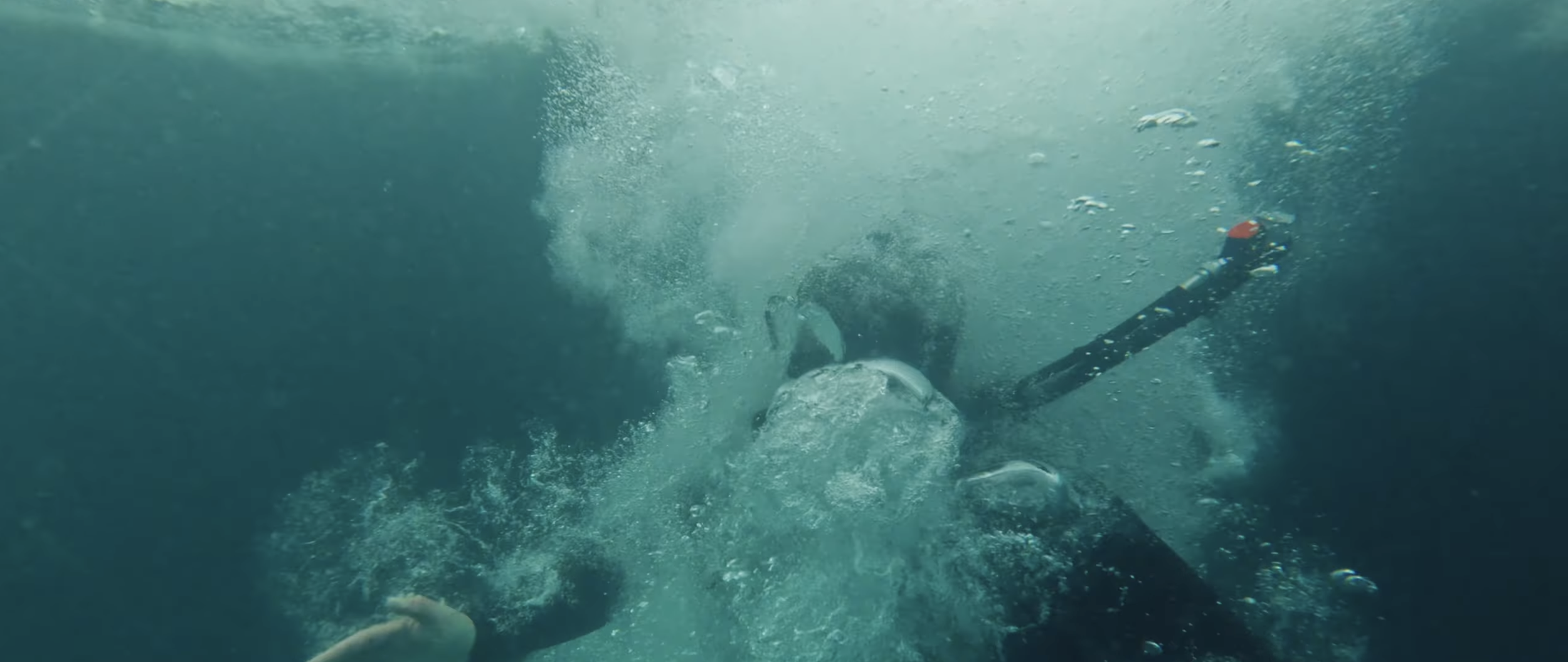 Capture d’écran 2026-03-13 à 16.29.34.png