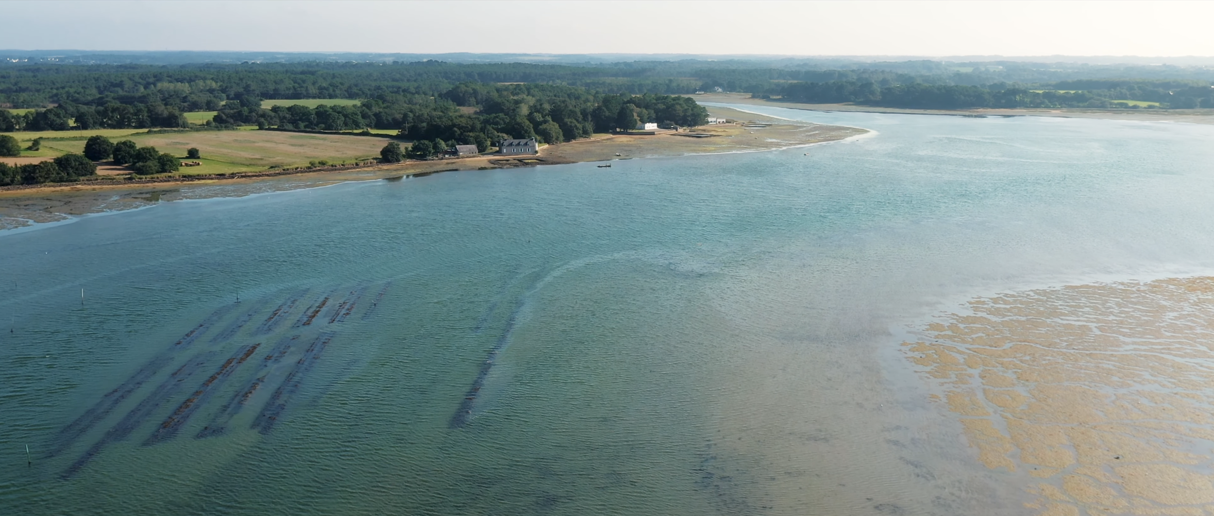 Capture d’écran 2026-03-13 à 13.03.54.png