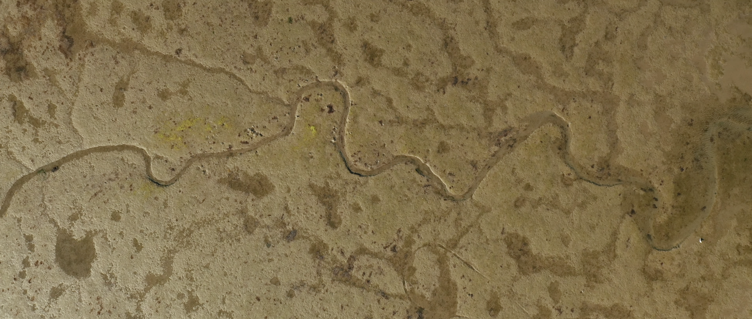 Capture d’écran 2026-03-13 à 13.04.11.png