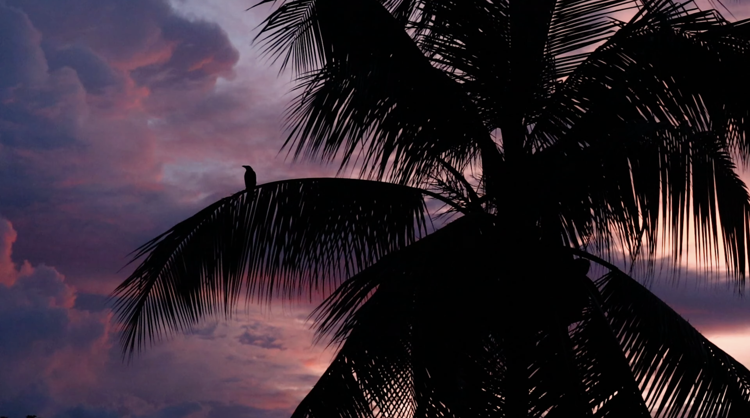 Capture d’écran 2026-03-13 à 15.15.04.png