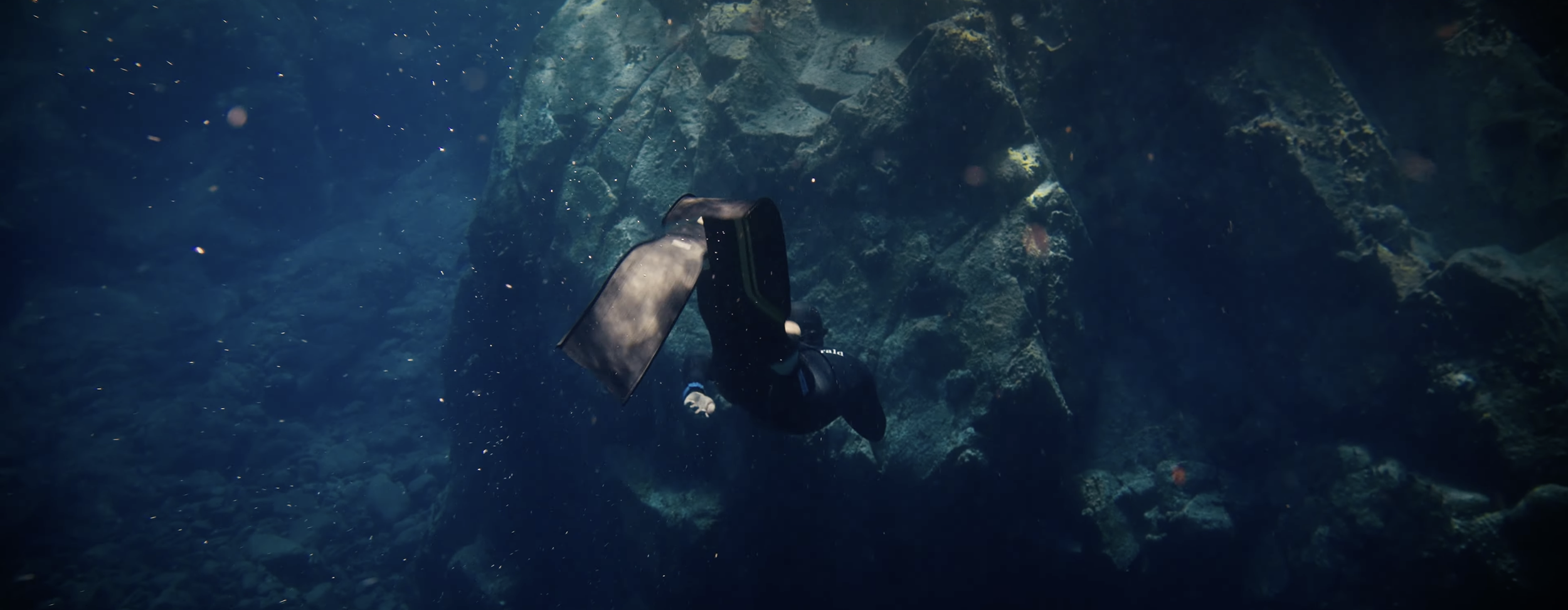 Capture d’écran 2026-03-13 à 15.16.44.png