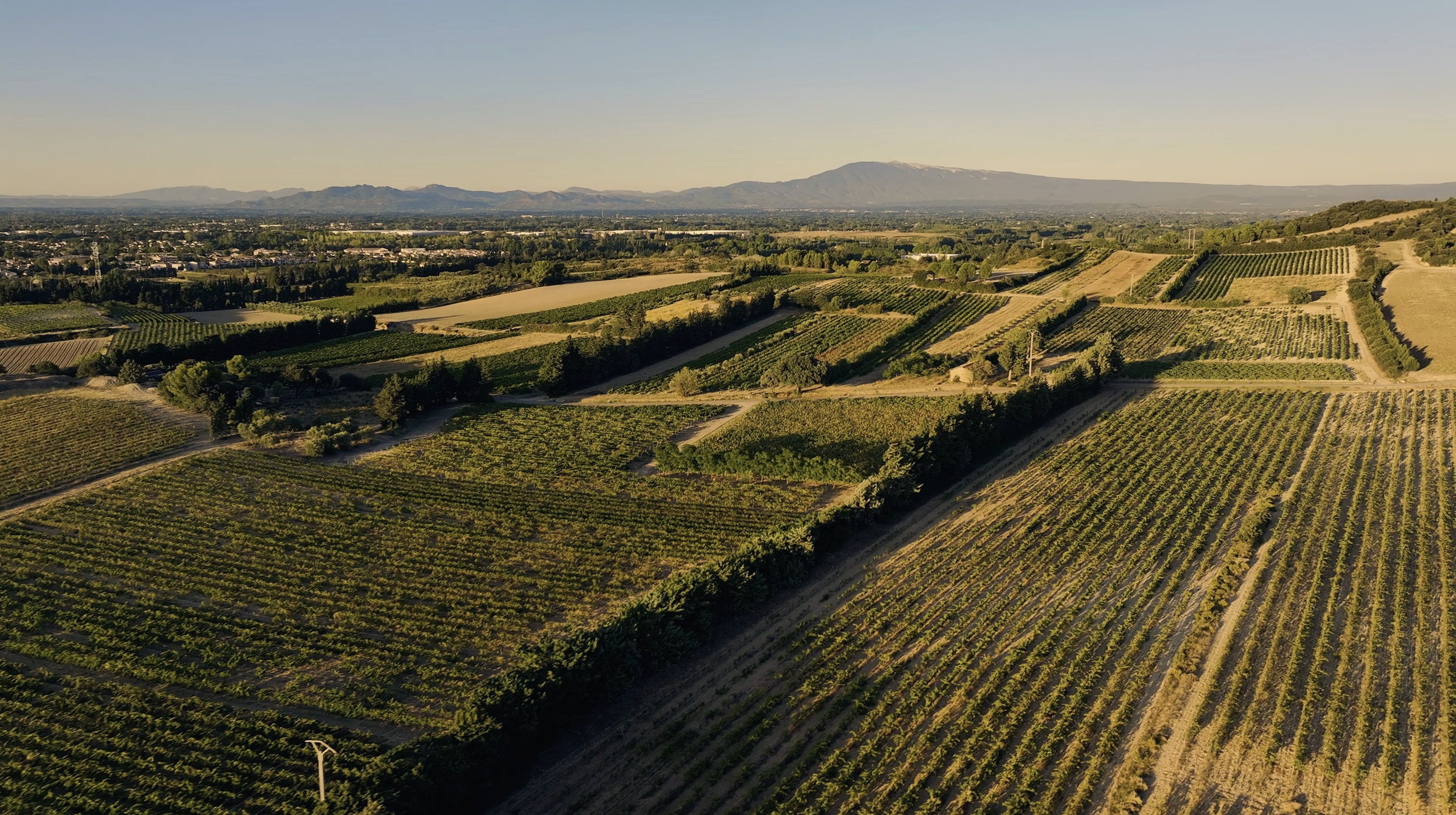 Capture d’écran 2026-03-13 à 15.49.45.png