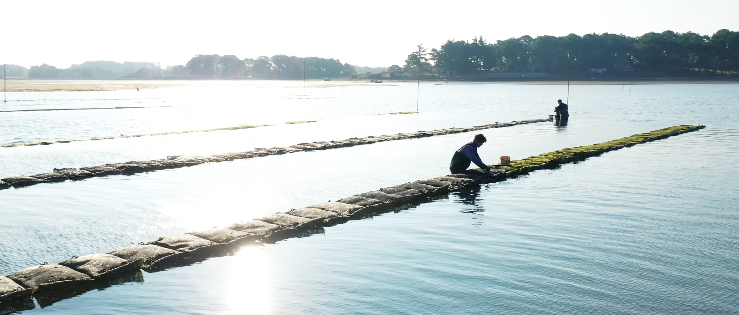 Capture d’écran 2026-03-13 à 13.03.38.png