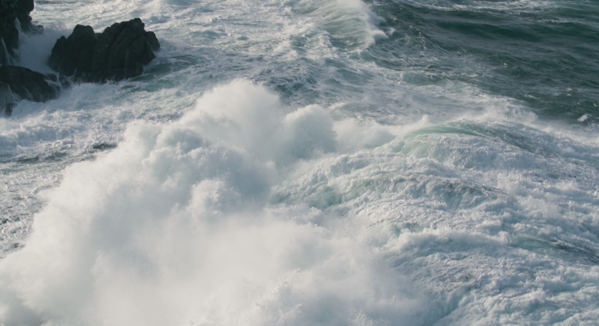 Capture d’écran 2026-03-24 à 08.38.52.png