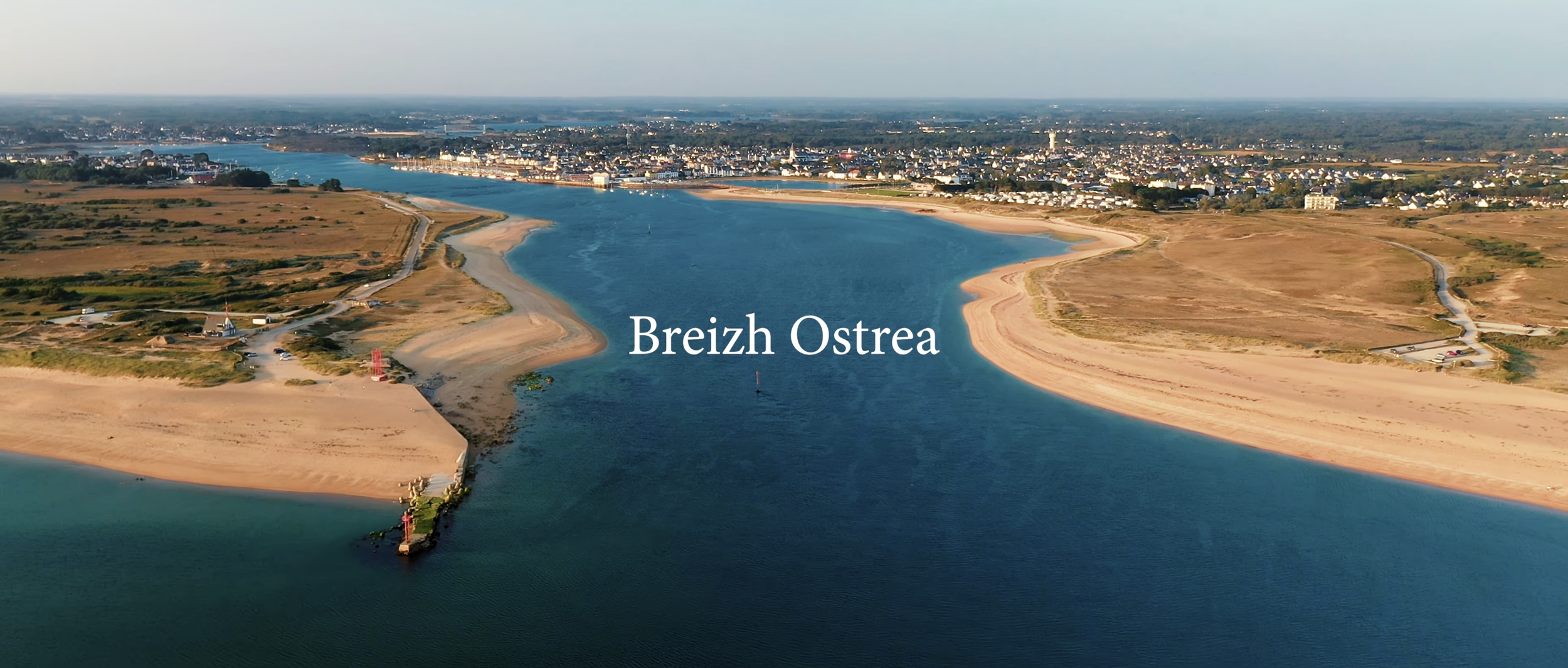 BREIZH OSTREA
